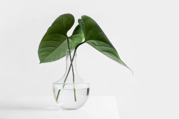 Masculine And Feminine Energy