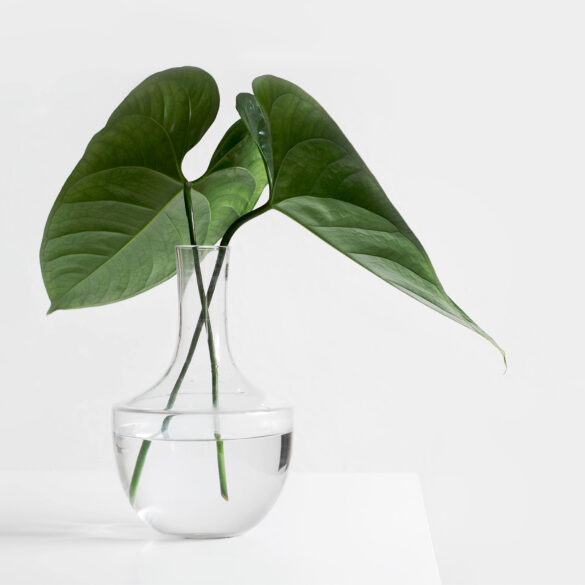 Masculine And Feminine Energy